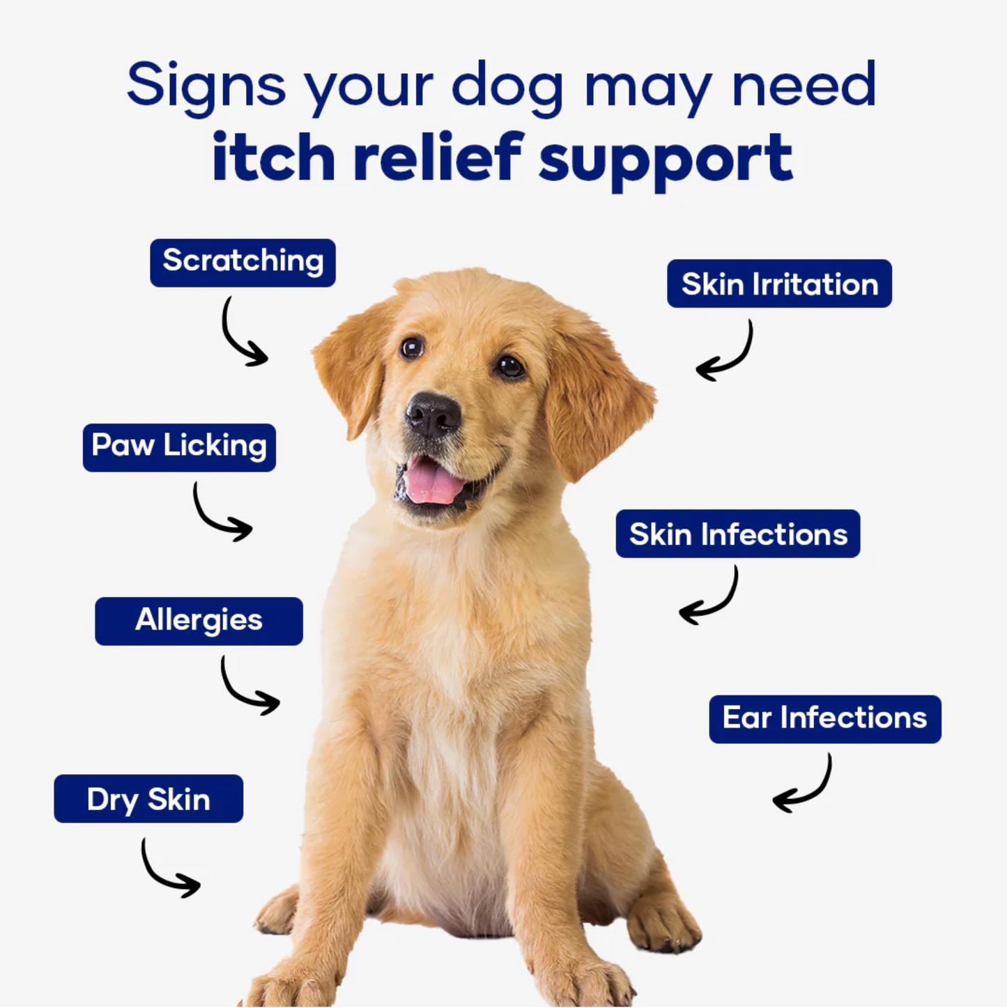 Probiotics for dogs - PawDerm Relief™